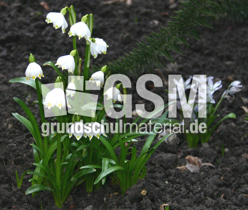 Maerzenbecher-1.jpg